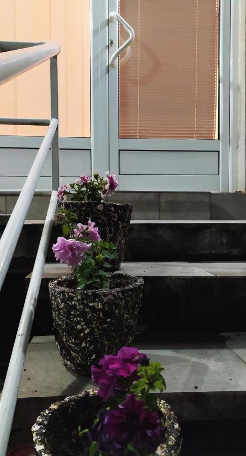 Apartman Todorovic ياغودينا المظهر الخارجي الصورة